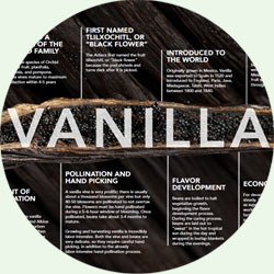 story-vanilla-circle