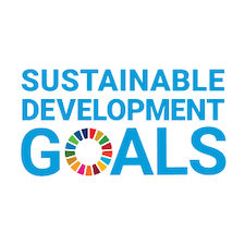 Synergy_sustainable development goals