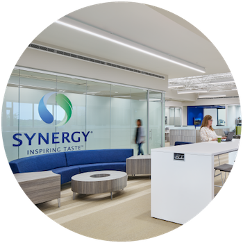 Synergy_world class