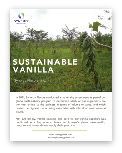 Vanilla Brochure Cover-03