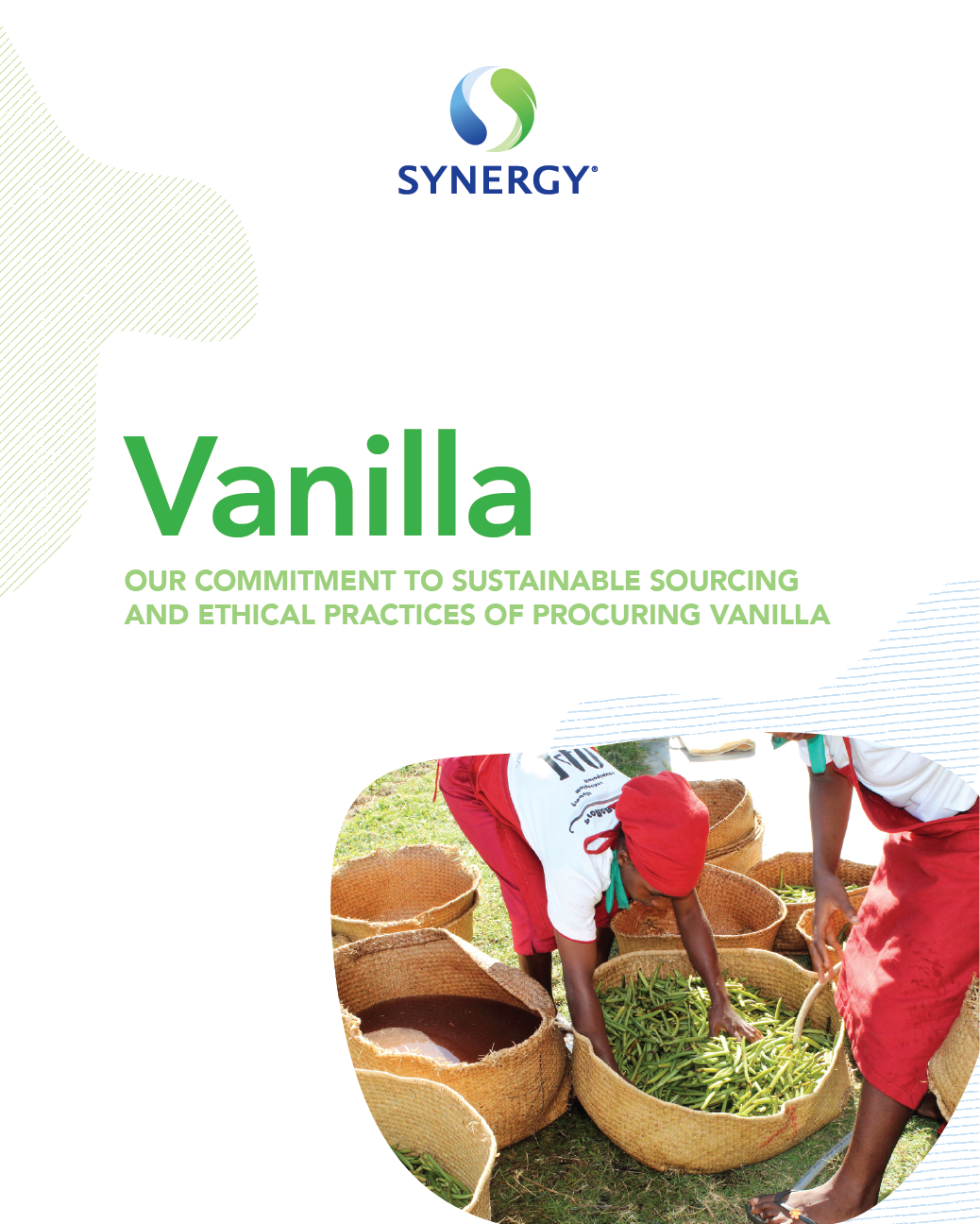 sustainablevanilla_cover